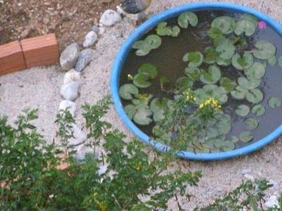 Studios Aeolos - Bild 1