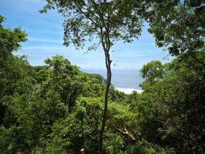 Cocolia Hotel - Bild 1