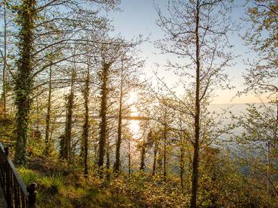 Hancioglu Çamburnu Orman Evleri & Otel - Bild 1