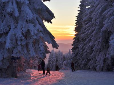 CAREA Residenz Hotel Harzhöhe - Bild 1