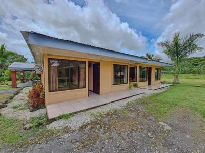 La Palmera Real - Bild 1