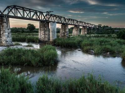 Kruger Shalati - Train on The Bridge & Garden Suites - Bild 1