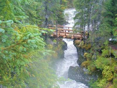 The Carriage House Accommodations - Bild 1