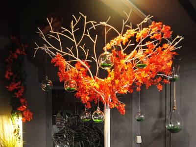 Grand Hôtel Bellevue - Grand'Place - Bild 1