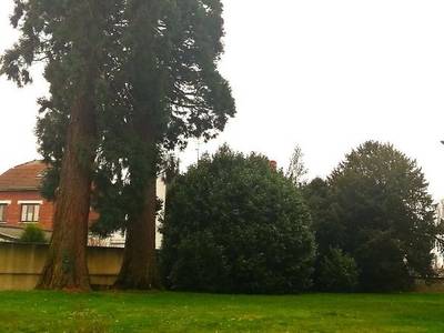 Domitys Le Carillon D'or - Bild 1