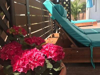 Sea Pearl Studios - Bild 1