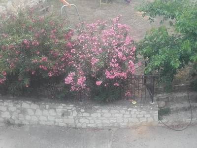 Olympic View Guesthouse - Bild 1