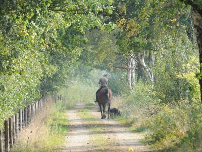 Fletcher Landhotel Bosrijk Roermond - Bild 1