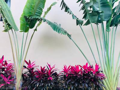 Khanom Beach Resort & Spa - Bild 1