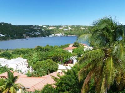 Adonis Cupecoy - Bild 1