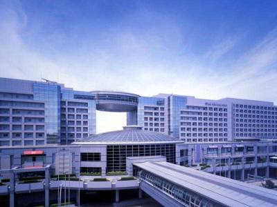 Nikko Kansai Airport - Bild 1