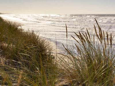 Novotel Thalassa Le Touquet - Bild 1