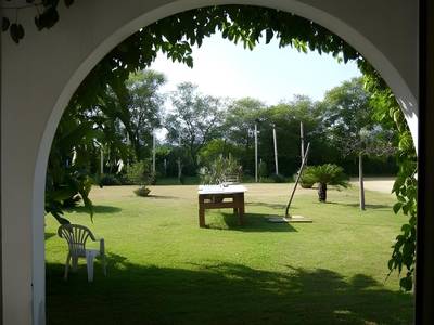 Cuore di Palme - Bild 1