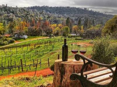 Papillon Cellars - Bild 1