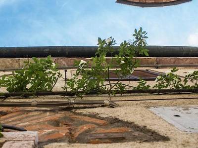 Hotel Le Dame Del Borgo - Bild 1