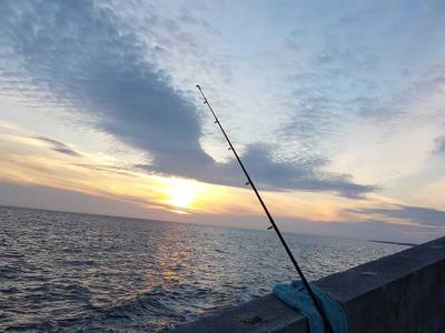 Barmouth Beach Club - Bild 1