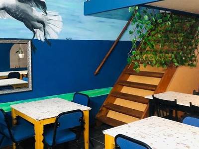 Cape Capsules Back Packers - Bild 1