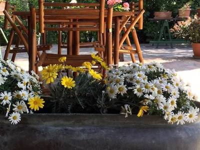 B&B Civico 7 - Bild 1