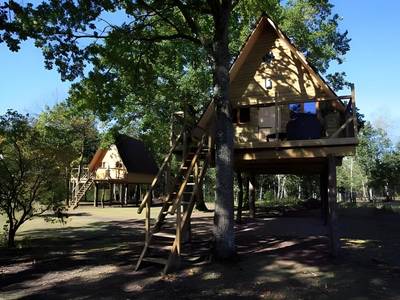 Le Nid Dans Les Bruyeres - Bild 1