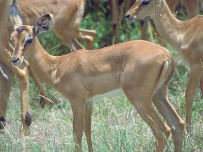 Vivari Hotel & Spa by Mantis - Bild 1