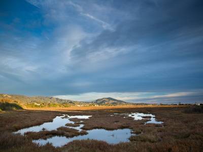 Holiday Inn Express & Suites Carpinteria - Bild 1