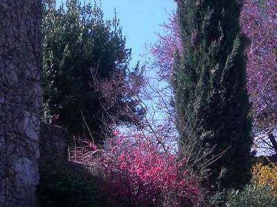 Domaine De Lamartine - Bild 1