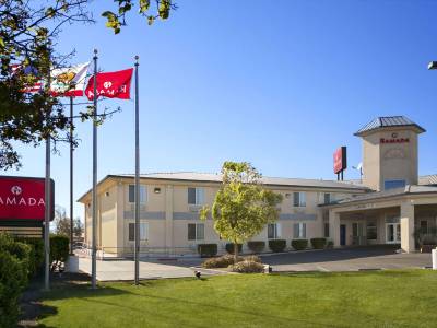 Spark by Hilton Williams - Bild 1