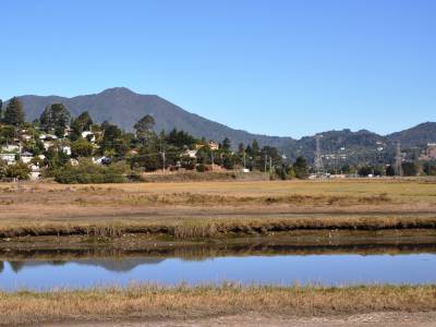 Holiday Inn Express Mill Valley San Francisco Area - Bild 1