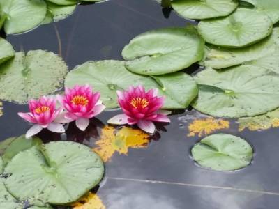 Kimpton Vero Beach Hotel & Spa - Bild 1