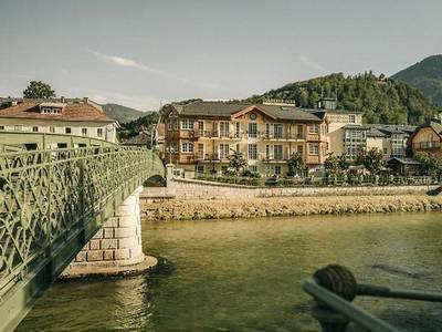 Goldener Ochs - Bild 1