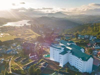 Araliya Red Nuwara Eliya - Bild 1