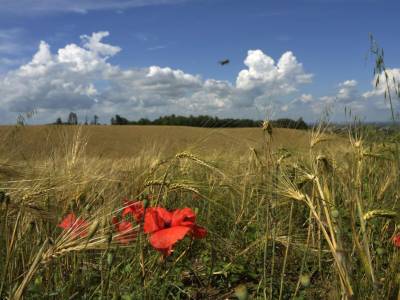 Hotel Campus - Bild 1