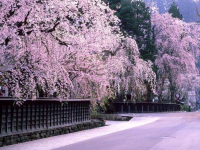 Hotel Mori No Kaze Ousyuku - Bild 1