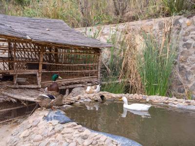 La Fattoria Ecolodge - Bild 1