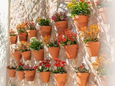 Placeta Vella Turismo de Interior - Bild 1