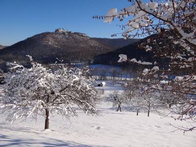 Biosphärenhotel Graf Eberhard - Bild 1