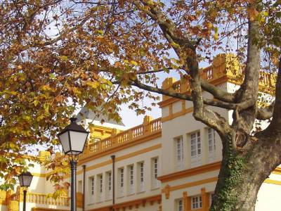 Hotel Arcea Palacio De Las Nieves - Bild 1