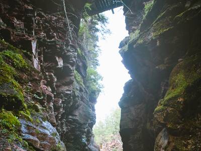 Bayshore Inn Resort & Spa - Bild 1