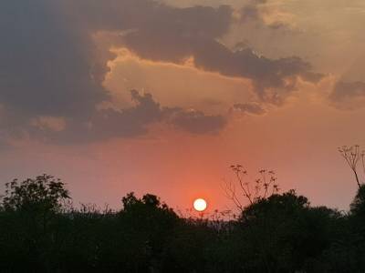 Treetop by Eight Continents Astroport Sariska - Bild 1