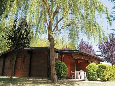 Adriano Family Collection - Bild 1