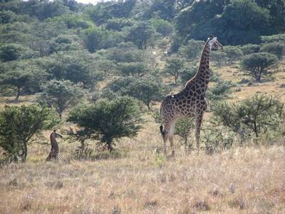 Bukela Game Lodge - Bild 1