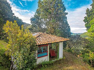 Dantica Cloud Forest Lodge - Bild 1