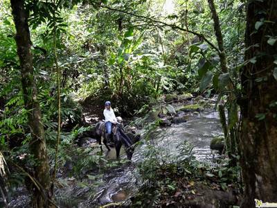 The Royal Corin Thermal Water & Spa Resort - Bild 1