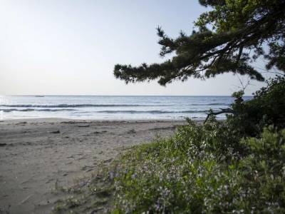 Imaiso Ryokan - Bild 1