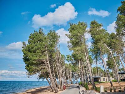 Aminess Avalona Camping Resort - Bild 1