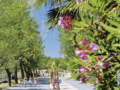 Camping Domaine La Yole by Happy Camp - Bild 1