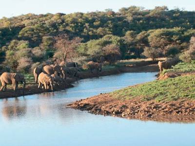 TimBila Safari Lodge - Bild 1