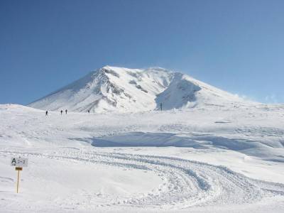 Hotel Bear Monte - Bild 1