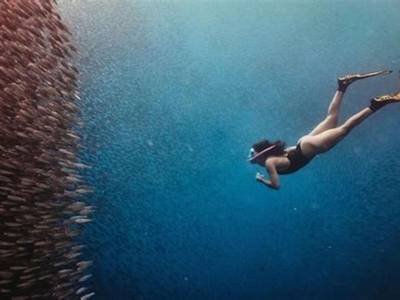 The Backyard Inn - Bild 1