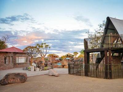 Quiver Tree Forest Camp - Bild 1